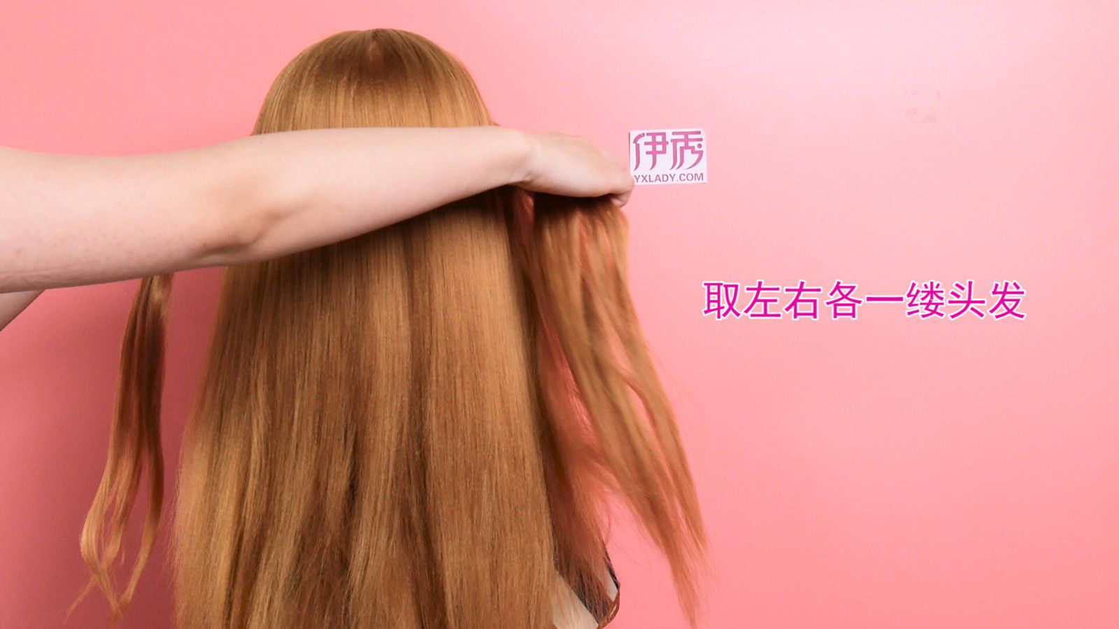 向平之愿网