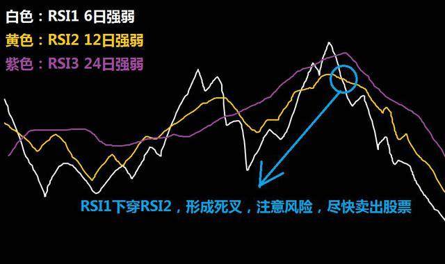 遛狗没牵绳引发冲突，致人右眼受伤！宠物主人获刑