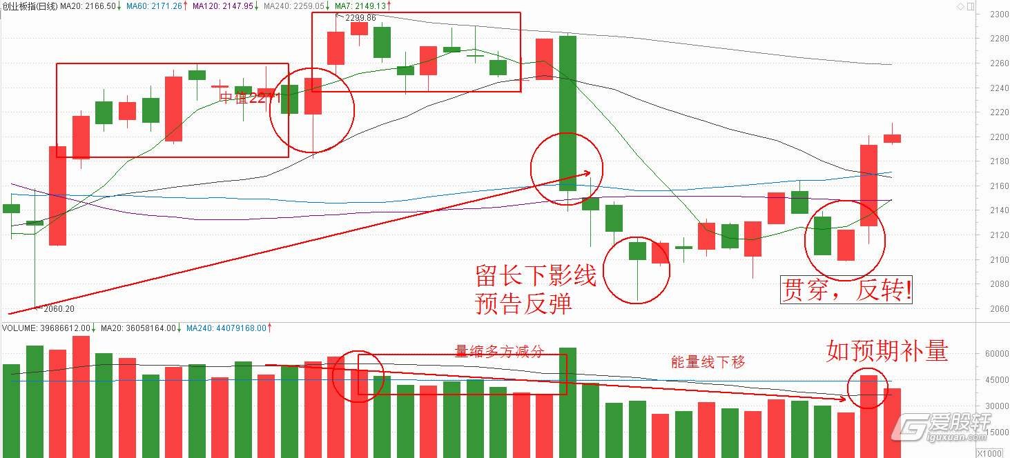 向平之愿网