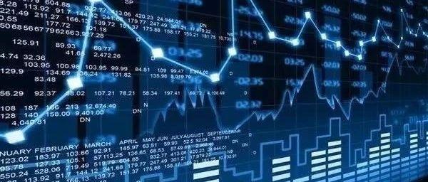 我市健儿在广西第十四届学生运动会斩获佳绩