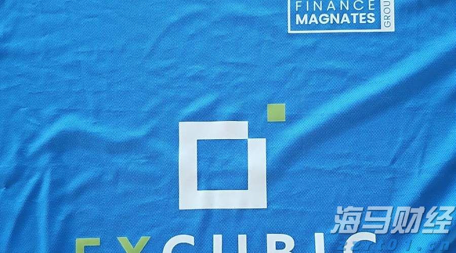 湛江海关在跨境电商渠道查获涉嫌侵犯商标权手提包49个